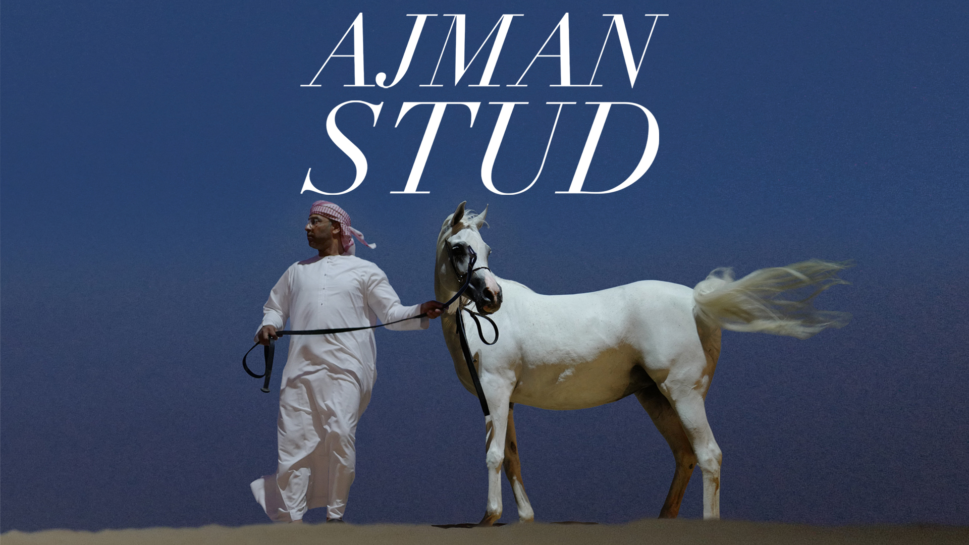 Ajman Stud